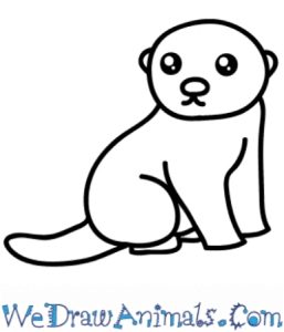 20 Otterly Cute and Easy Otter Drawings Cool Kids Crafts