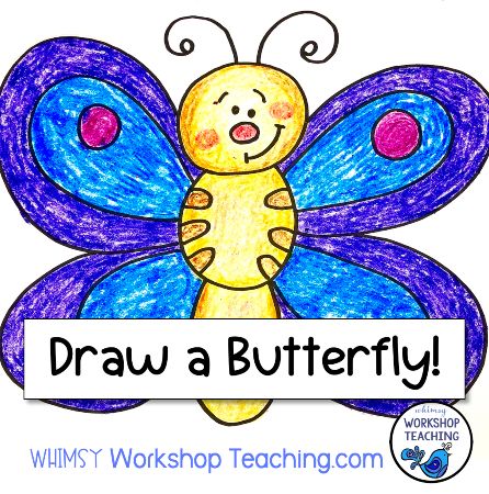 Funny Butterfly Drawing