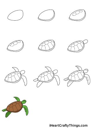 Swimming Turtle Drawing