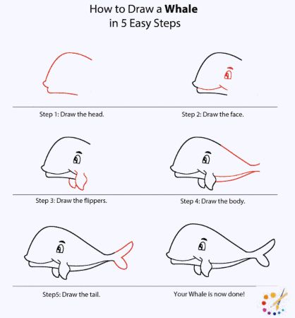 5 Step Whale Drawing