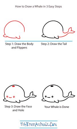 Baby Whale Drawing