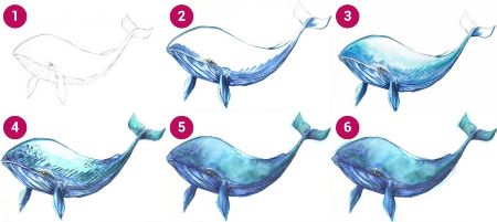 Beautiful Whale Drawing