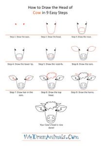 18 Easy Drawings of Cows for Beginners - Cool Kids Crafts
