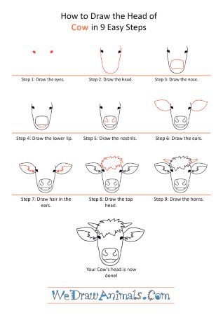 Cool Cow Head Drawing