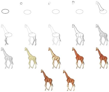 How To Draw A Cute Giraffe Step By Step