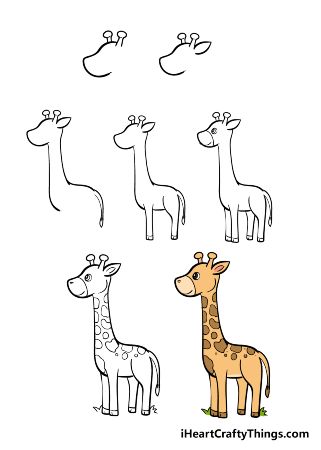 Cartoon giraffe sketch line icon. сute animals icons set. childish posters  for the wall • posters pose, sit, line art | myloview.com