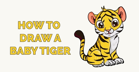 19 Easy Tiger Drawings for Apex Predators - Cool Kids Crafts