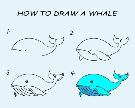 Easy Whale Drawing