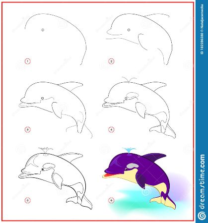 Fun Whale Drawing