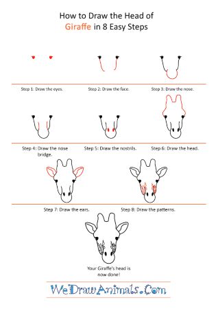 Giraffe Face Drawing