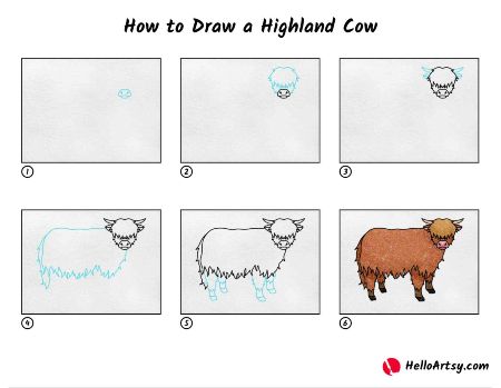 Highland Cow Drawing