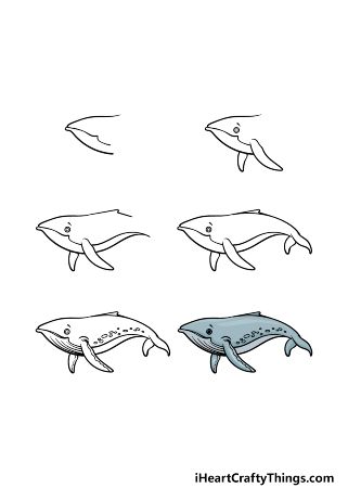 How To Draw A Humpback Whale