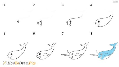 Narwhal Drawing Tutorial