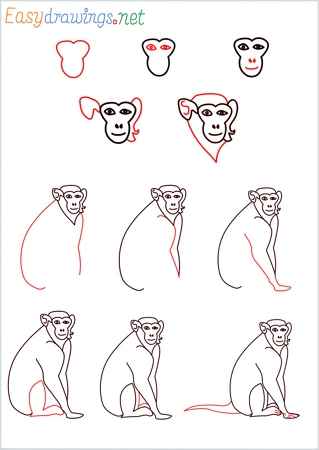 How To Draw a Monkey  StepbyStep