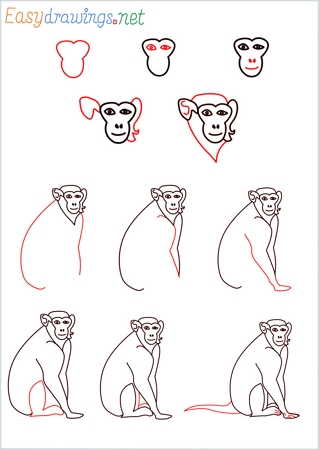 chimpanzee drawing for kids