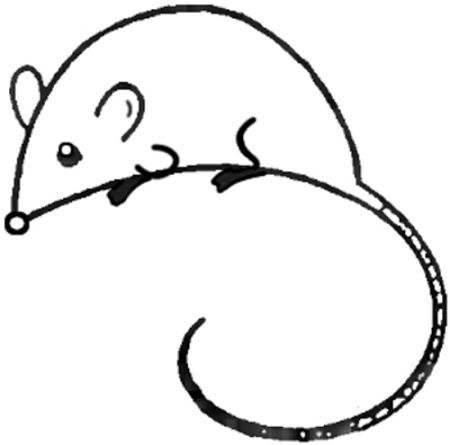 Easy How to draw a Mouse and Mouse Coloring Page