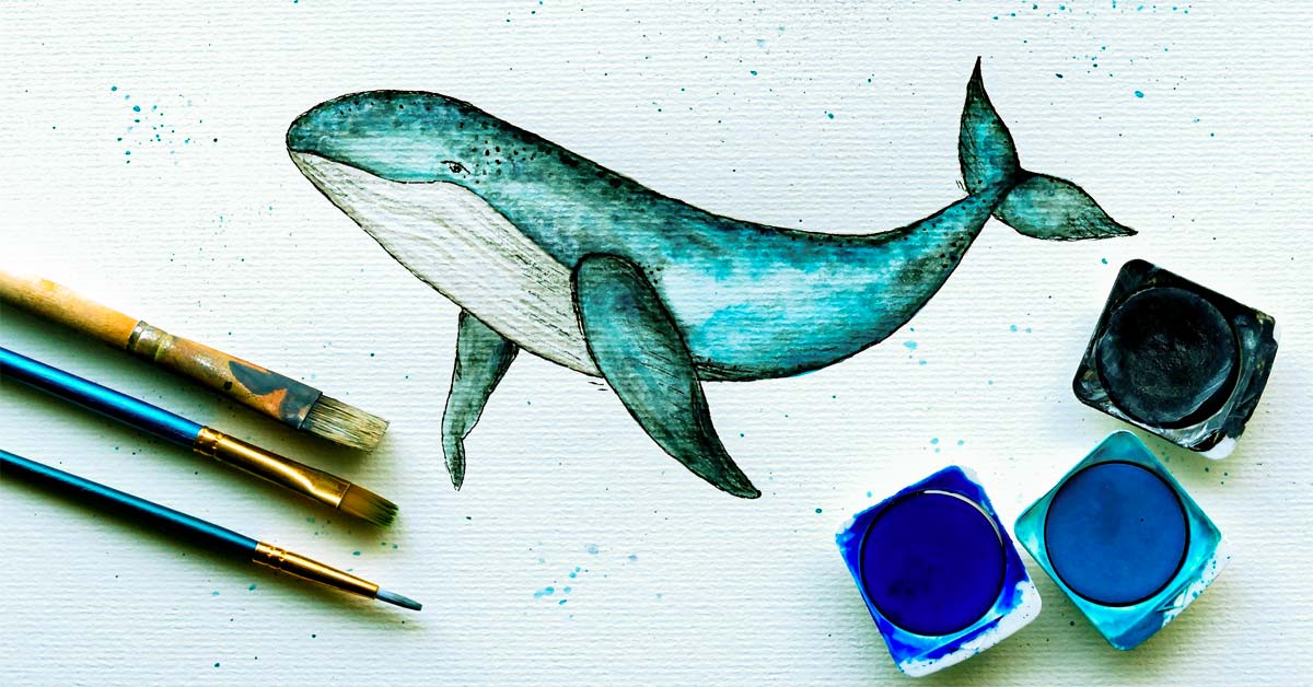 Whale pencil drawing