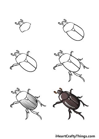 Cool Beetle Drawing