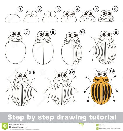 Cute Bug Drawing