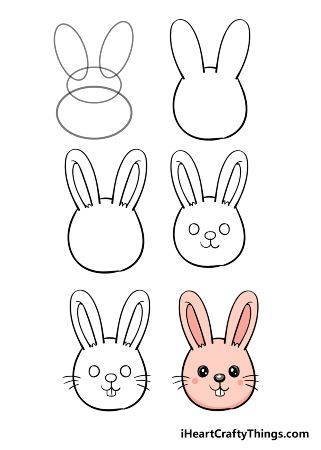 Cute Bunny Face Drawing