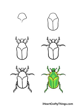 Green Bug Drawing