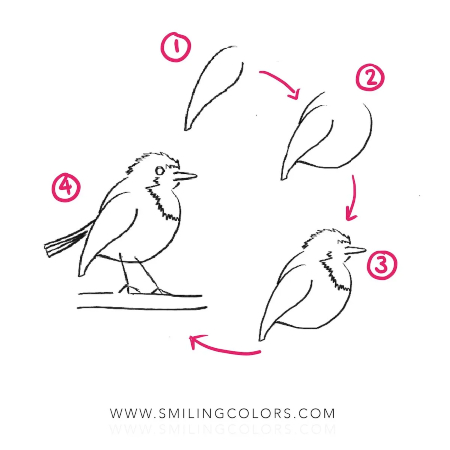 4-Step Bird Sketch