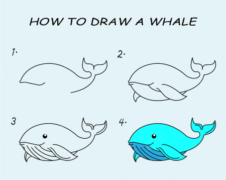 Big Whale Drawing