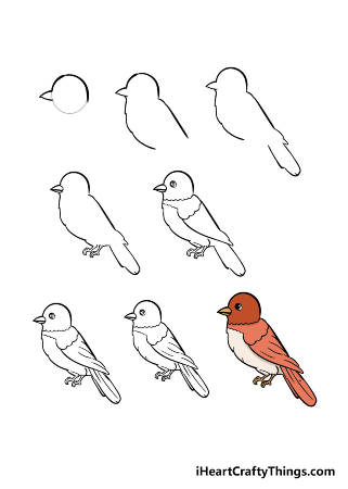 Brown Bird Drawing