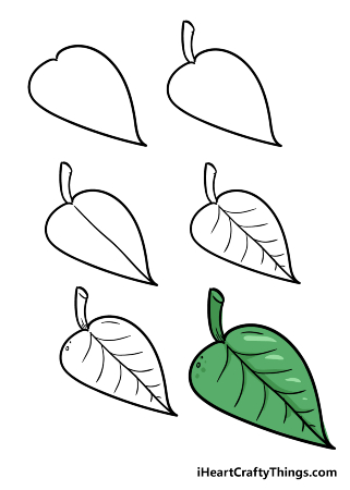 Cartoon Leaf Drawing