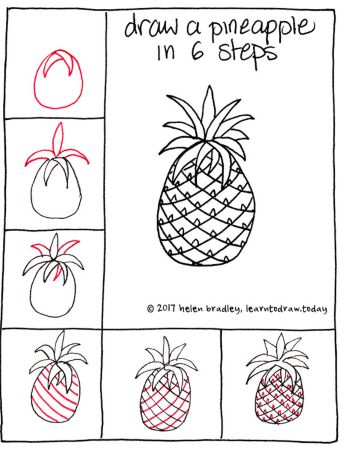 Easy Pineapple Sketch
