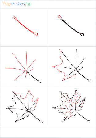Fall Leaf Sketch