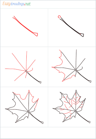 Leaf Drawing Pictures  Download Free Images on Unsplash