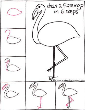 Flamingo Drawing