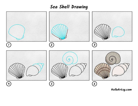 Group of Seashells Sketch