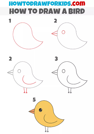 Bird Drawings  Sketches For Kids  Kids Art  Craft