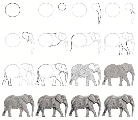 Magnificent Elephant Sketch
