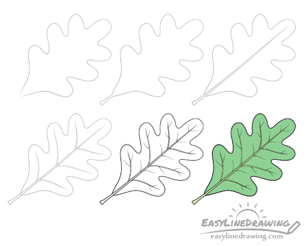 Oak Leaf Drawing