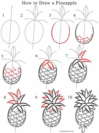 Realistic Pineapple Sketch