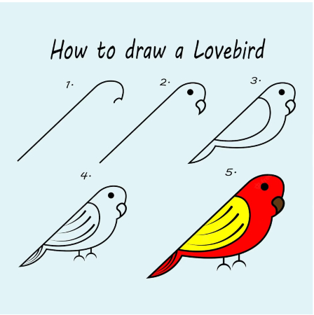 Cool Bird Drawing