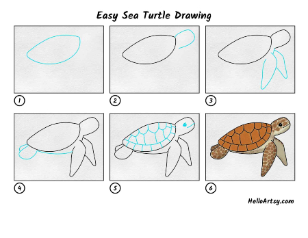 Sea Turtle Drawing