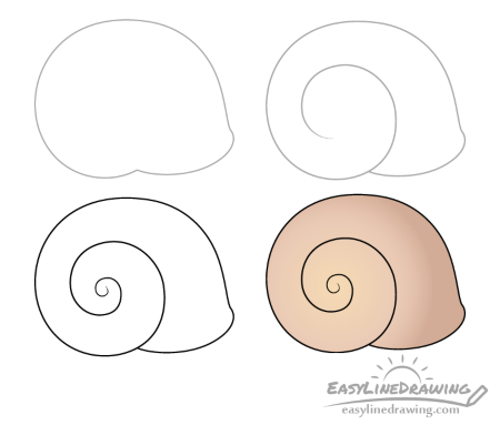 Spiral Seashell Drawing