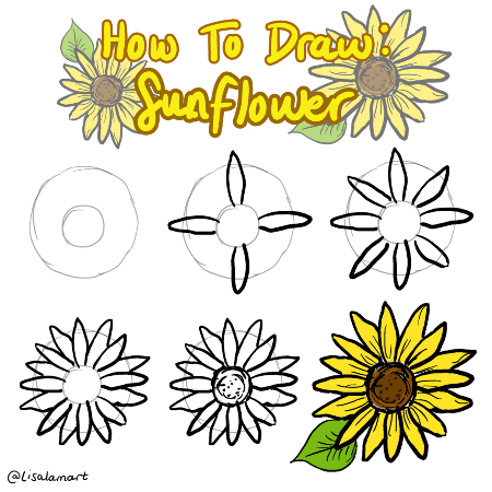 Sunflower Drawing