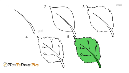 Unique Leaf Drawing