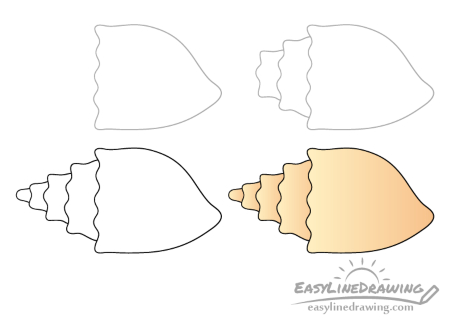 Unique Seashell Drawing