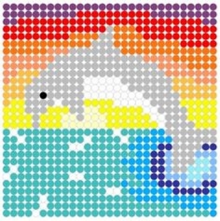 21 Acrobatic Dolphin Perler Beads - Cool Kids Crafts