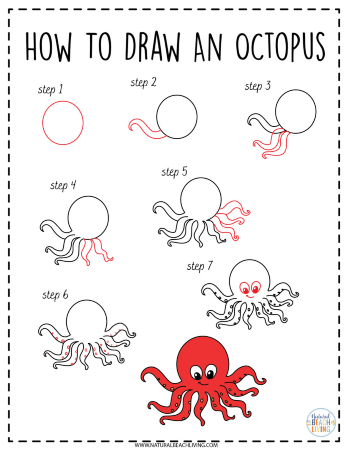 Funny Octopus Drawing