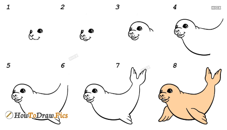 Pretty Sea Lion Drawing