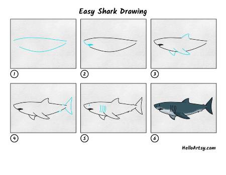 Blue Shark Drawing