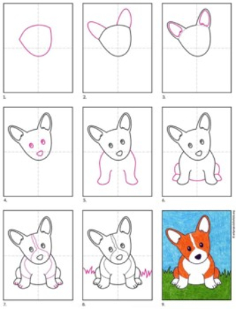 Corgi Puppy Drawing
