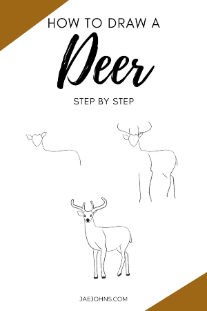 Curious Deer Sketch